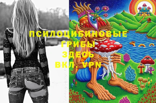 spice Белоозёрский