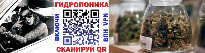 Бошки марихуана конопля  где купить наркотик  Бердск 